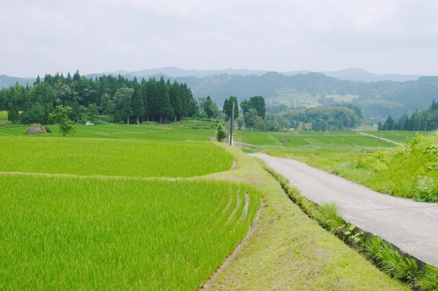 日本が生きづらい国なのはなぜ？