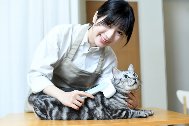 愛玩動物飼養管理士は意味ない？取得後の給料や難易度と勉強法も紹介